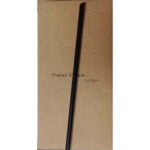 Pailles en Papier Noires 20 cm - Lot de 250