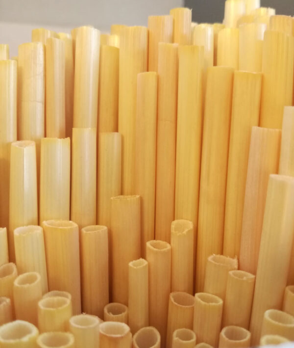 Pailles en paille de blé 15 cm - Lot de 500 pièces