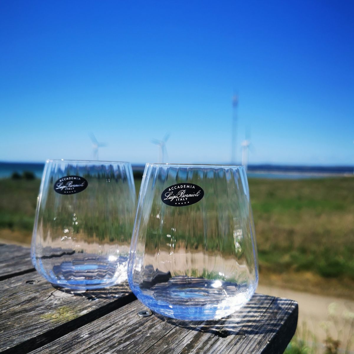 Luigi Bormioli Optica Vandglas 45 cl (4 stk) Glas0854